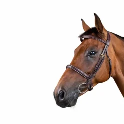 - Bridon tressé Dy'on Collection Bridons