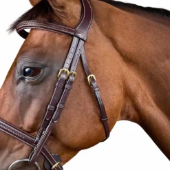 - Bridon tressé Dy'on Collection Bridons