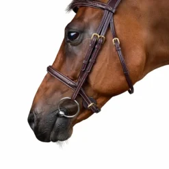 - Bridon tressé Dy'on Collection Bridons