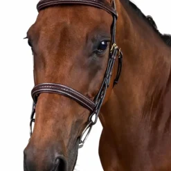 - Bridon tressé Dy'on Collection Bridons