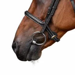 Sale - Bridon tressé Dy'on Collection Bridons