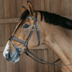 Clearance - Bridon Working Motion Working By Bridons Poneys|Bridons