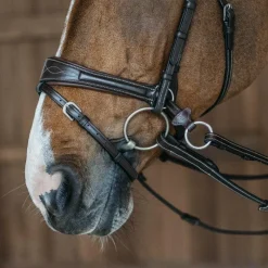 Clearance - Bridon Working Motion Working By Bridons Poneys|Bridons