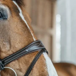 Clearance - Bridon Working Motion Working By Bridons Poneys|Bridons