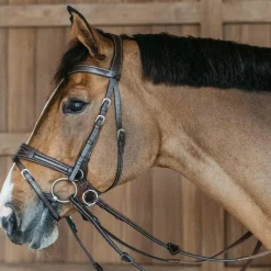 Clearance - Bridon Working Motion Working By Bridons Poneys|Bridons