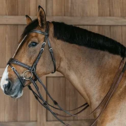Clearance - Bridon Working Motion Working By Bridons Poneys|Bridons