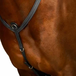 Colliers De Chasse Poneys|Colliers De Chasse*Dyon - Collier de chasse à pont Working by Noir