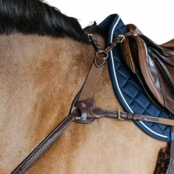 Sale - Collier de chasse 5 points élastique D Collection Colliers De Chasse Poneys|Colliers De Chasse