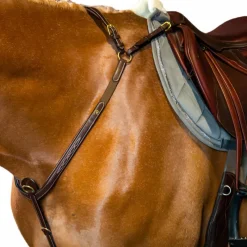 New - Collier de chasse à pont D Collection Colliers De Chasse Poneys|Colliers De Chasse