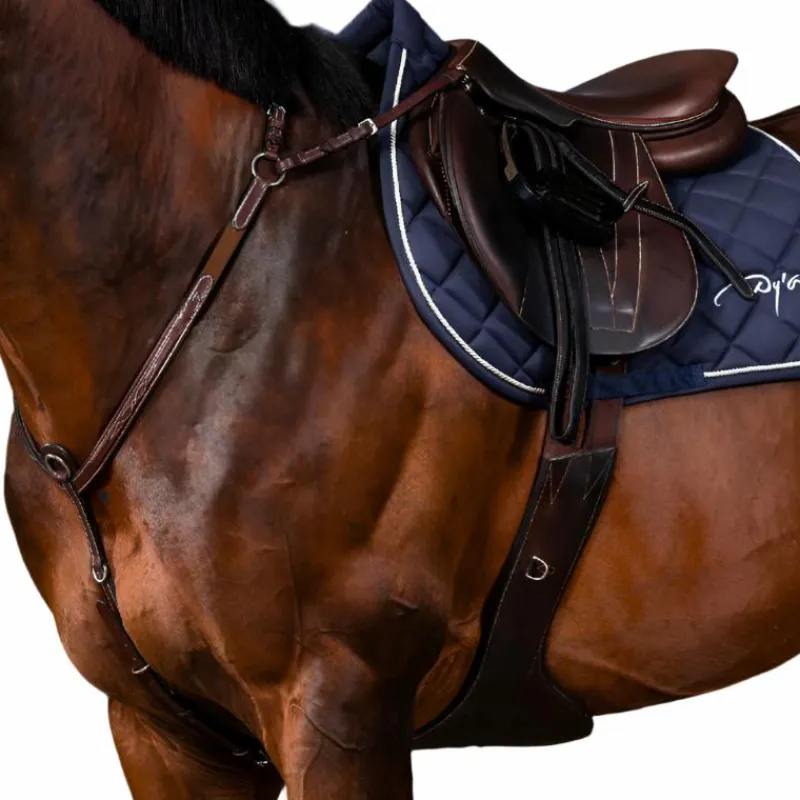 Hot - Collier de chasse à pont US Collection brun Colliers De Chasse Poneys|Colliers De Chasse