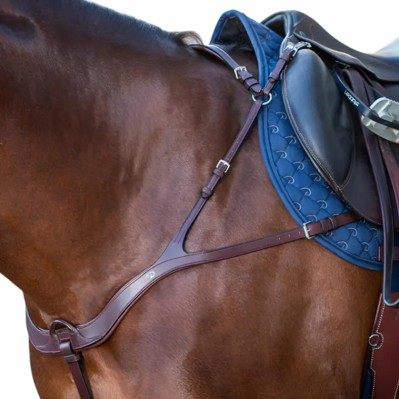 Colliers De Chasse Poneys|Colliers De Chasse*Dyon - Collier de chasse anatomique New English Collection brun Marron