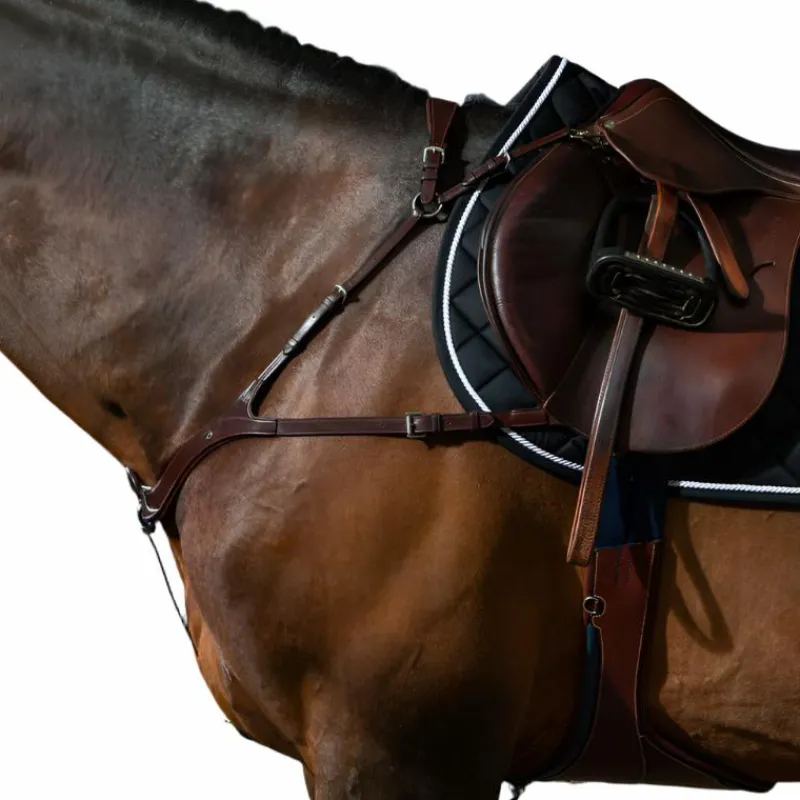 Colliers De Chasse Poneys|Colliers De Chasse*Dyon - Collier de chasse anatomique New English Collection brun Marron