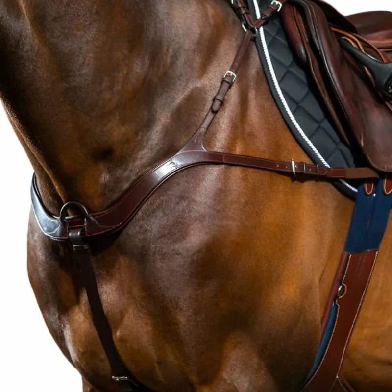 Colliers De Chasse Poneys|Colliers De Chasse*Dyon - Collier de chasse anatomique New English Collection brun Marron