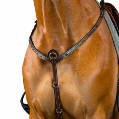 Colliers De Chasse Poneys|Colliers De Chasse*Dyon - Collier de chasse D Collection brun Marron