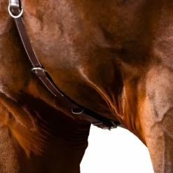 New - Collier de chasse US Collection brun Colliers De Chasse Poneys|Colliers De Chasse