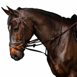 Outlet - Enrênement Howlett complet Working by brun Howlett/ Thiedeman