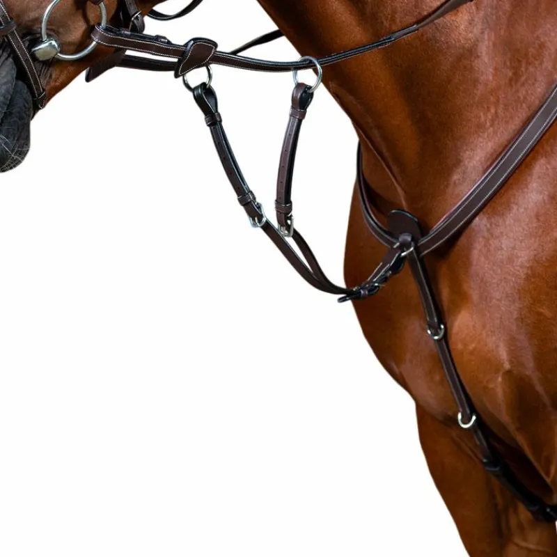 Enrênements Poneys|Martingales*Dyon - Fourchette de martingale à anneaux Working by brun Marron