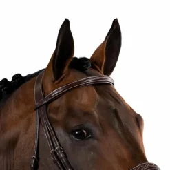 Clearance - Frontal droit sans pins US Collection Accessoires De Bridons Poneys|Frontaux