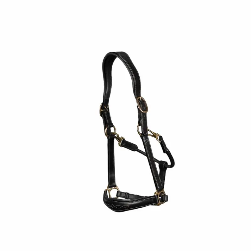 Licols Poneys*Dyon - Licol cuir D Collection Noir