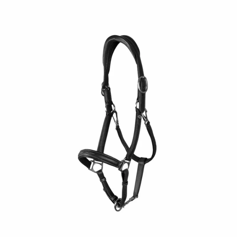 Licols Poneys*Dyon - Licol cuir extra souple Working by Noir