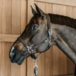 Outlet - Licol Tressé Working By Dy'on Colliers De Chasse Poneys|Colliers De Chasse