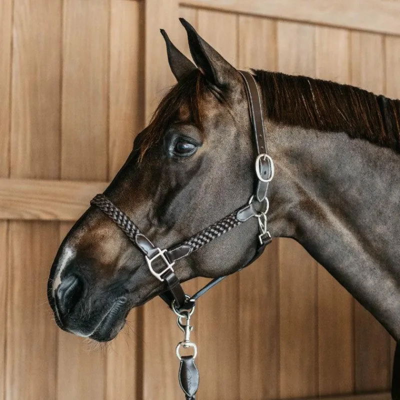 Outlet - Licol Tressé Working By Dy'on Colliers De Chasse Poneys|Colliers De Chasse