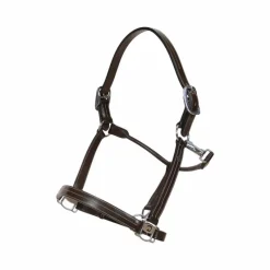 - Licol US Working by Dy'on collection Licols Poneys