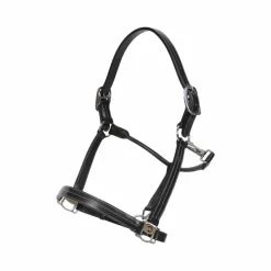 Licols Poneys*Dyon - Licol US Working by Dy'on collection Noir