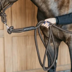 Longes De Travail*Dyon - Longe d'entraînement Working By Marron