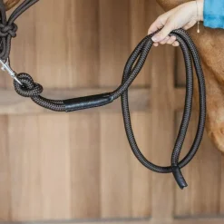 Longes Classiques*Dyon - Longe mousqueton amovible Working By Marron