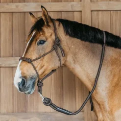 Longes Classiques*Dyon - Longe mousqueton amovible Working By Marron