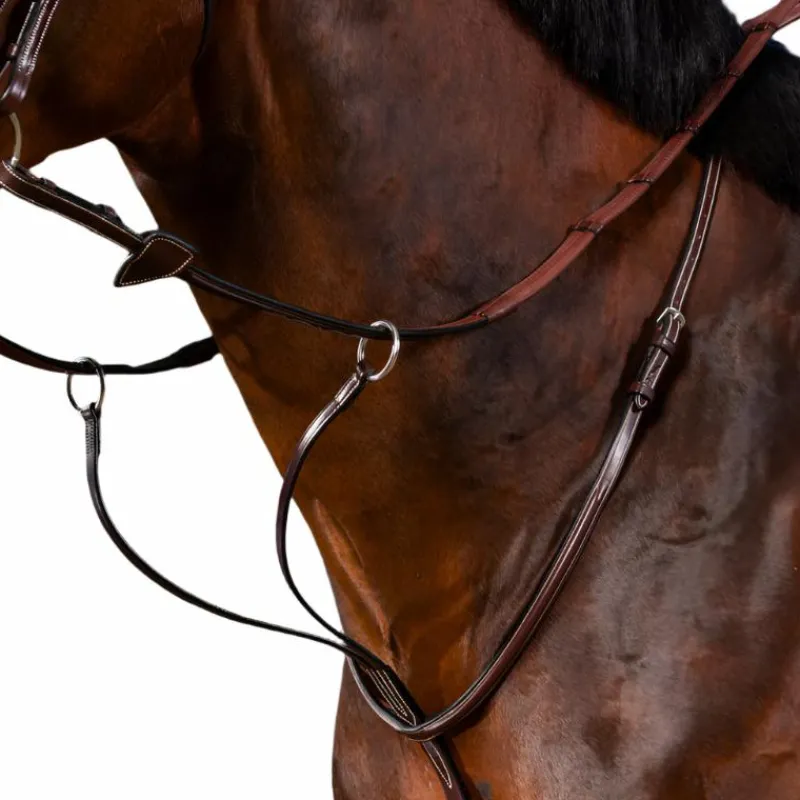 Enrênements Poneys|Martingales*Dyon - Martingale à anneaux US Collection brun Marron