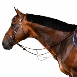 Enrênements Poneys|Martingales*Dyon - Martingale à anneaux US Collection brun Marron