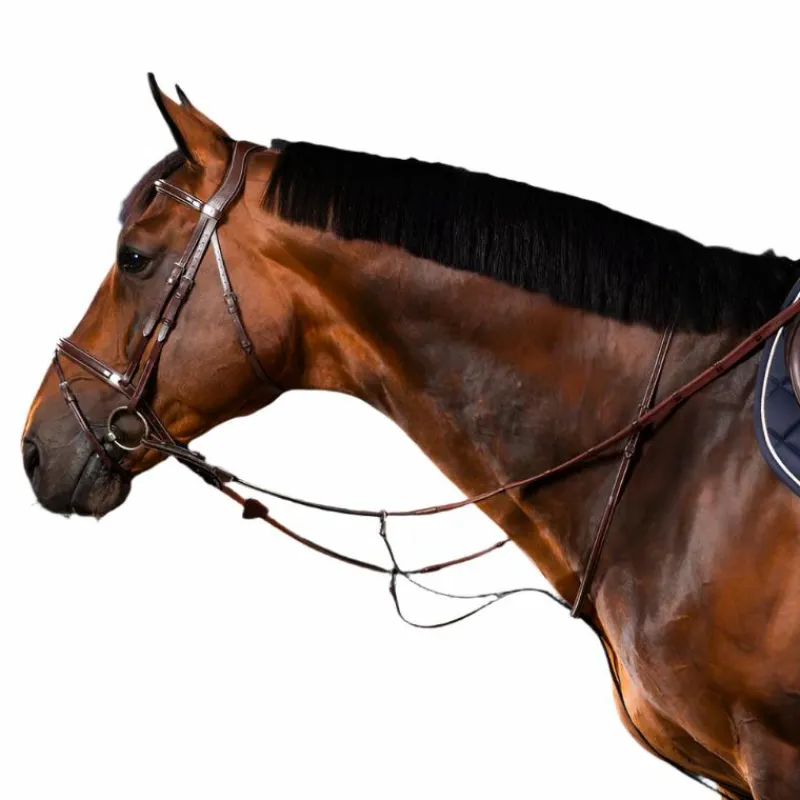 Enrênements Poneys|Martingales*Dyon - Martingale à anneaux US Collection brun Marron