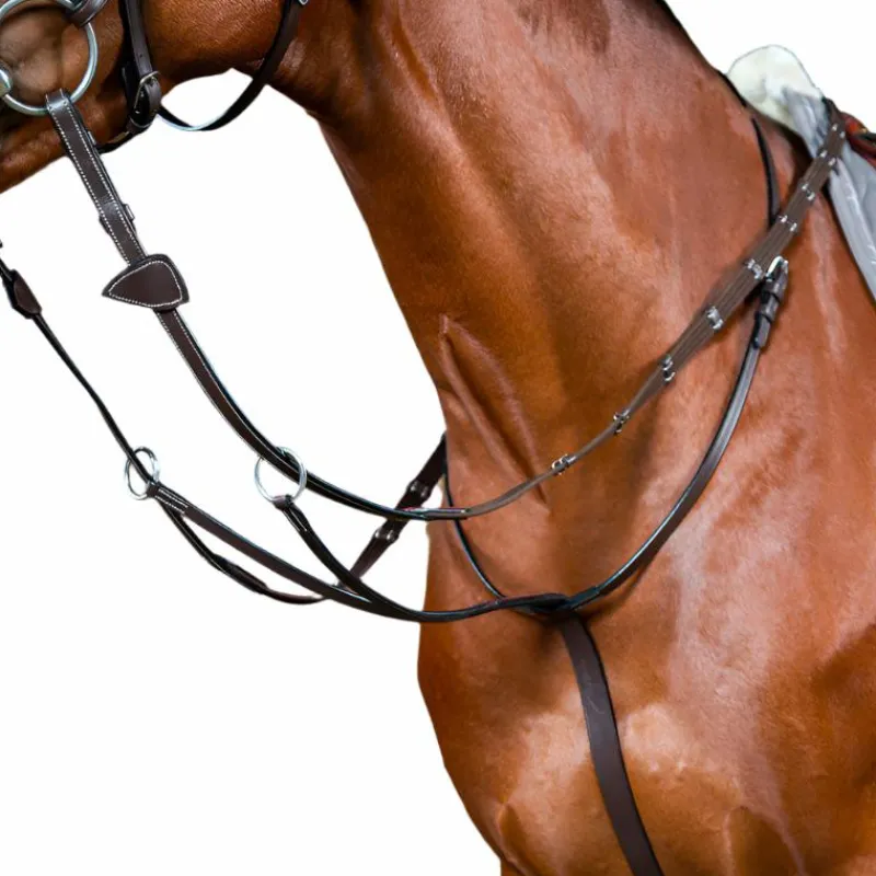 Enrênements Poneys|Martingales*Dyon - Martingale à anneaux Working by brun Marron