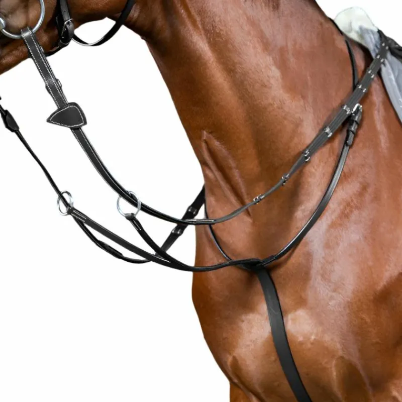 Enrênements Poneys|Martingales*Dyon - Martingale à anneaux Working By Noir