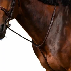 Outlet - Martingale fixe US Collection brun Enrênements Poneys|Martingales