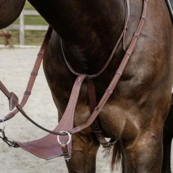 Online - Martingale pleine en cuir souple New English Collection Enrênements Poneys|Martingales