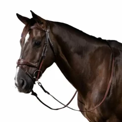 Accessoires De Bridons Poneys|Montants De Bridons*Dyon - Montants de releveur US Collection Marron