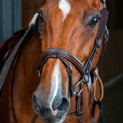 Montants De Bridons*Dyon - Montants Focus brun Marron