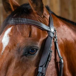 Montants De Bridons*Dyon - Montants Focus brun Marron