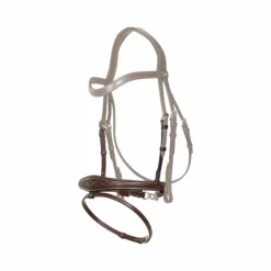 Online - Muserolle anatomique chaîne D Collection Muserolles