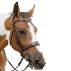 Online - Muserolle anatomique sans flash English Collection Accessoires De Bridons Poneys|Accessoires De Bridon