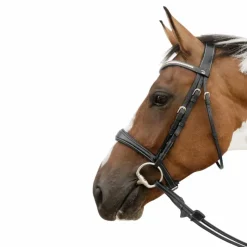 Best - Muserolle anatomique sans flash D Collection Accessoires De Bridons Poneys|Accessoires De Bridon