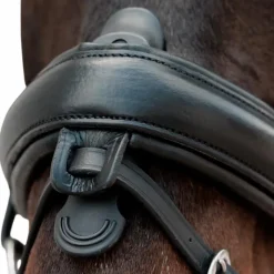 Muserolles*Dyon - Muserolle combinée Crank Matt Noir