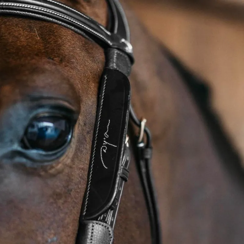 New - Oeillières Focus cuir Accessoires De Bridon