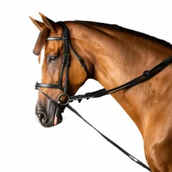 Rênes Et Arrêtoirs De Rênes Poneys|Rênes Et Arrêtoirs De Rênes*Dyon - Rênes allemandes en cuir et nylon 5/8 New English Collection Noir