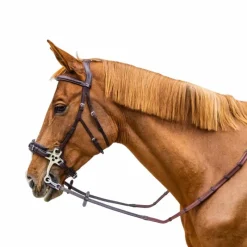 Online - Rênes caoutchouc 5/8 avec arrêtoirs et mousqueton Working brun Rênes Et Arrêtoirs De Rênes