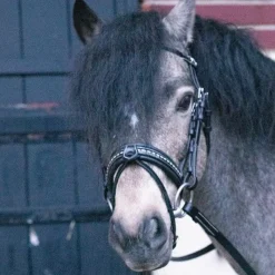 Bridons Poneys|Bridons*Eden by Pénélope - Bridon Eden avec rênes Noir