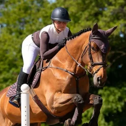 Bonnets Pour Chevaux*Equestrian Stockholm - Bonnet pour chevaux Moonless Night marron/ Violet